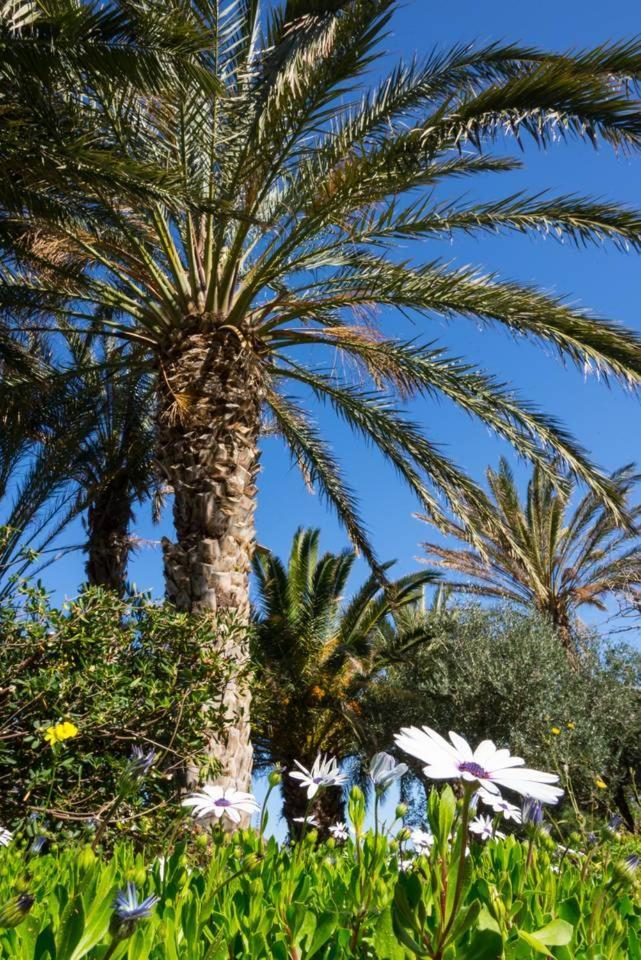 Authentic Cretan Stone Windmill Villa Sitia  Exterior photo