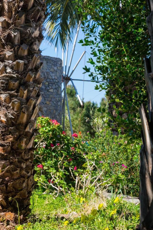 Authentic Cretan Stone Windmill Villa Sitia  Exterior photo